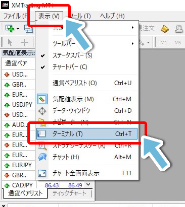 ターミナル欄の表示