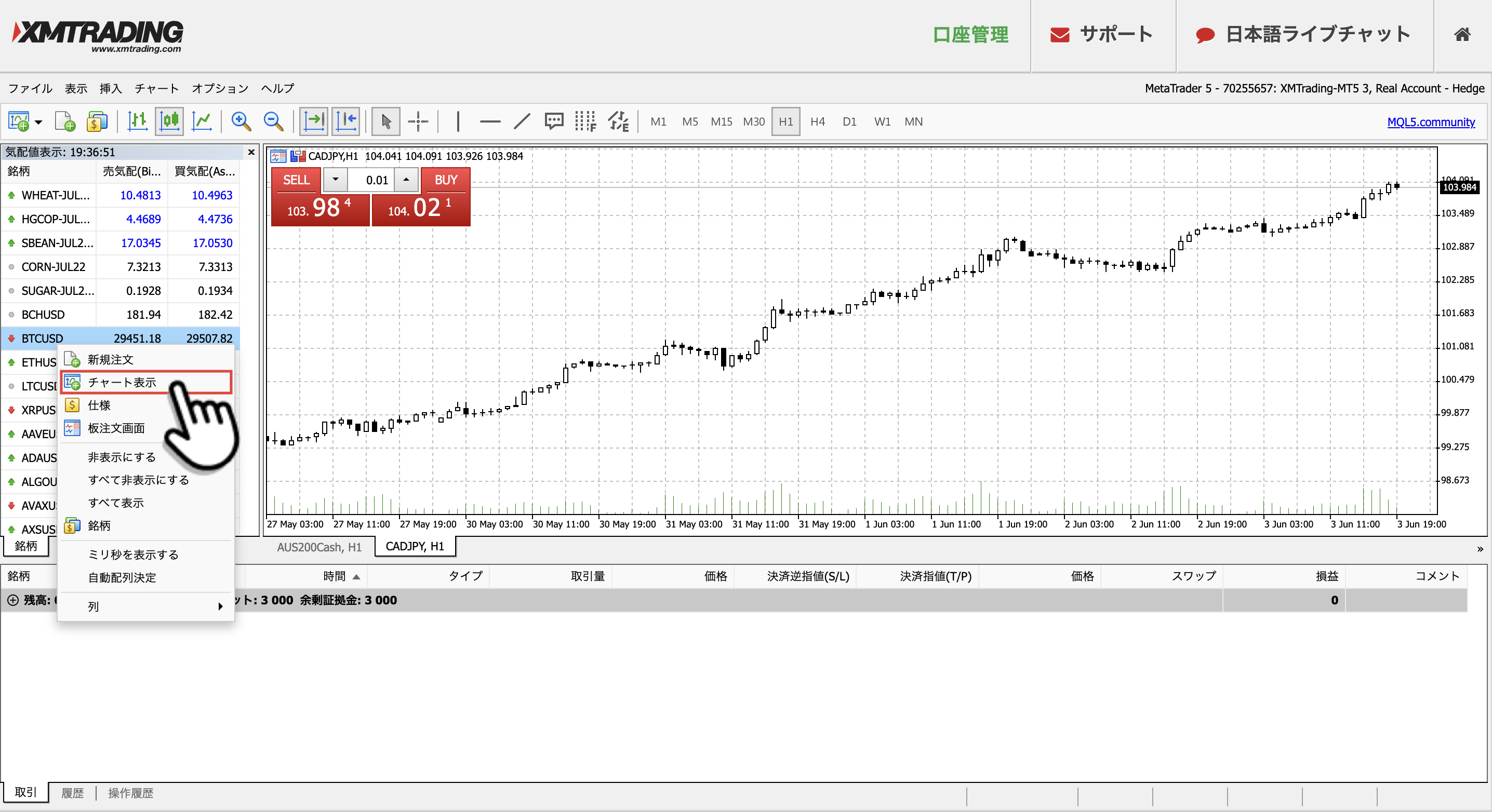 通貨ペアの上で「チャート表示」