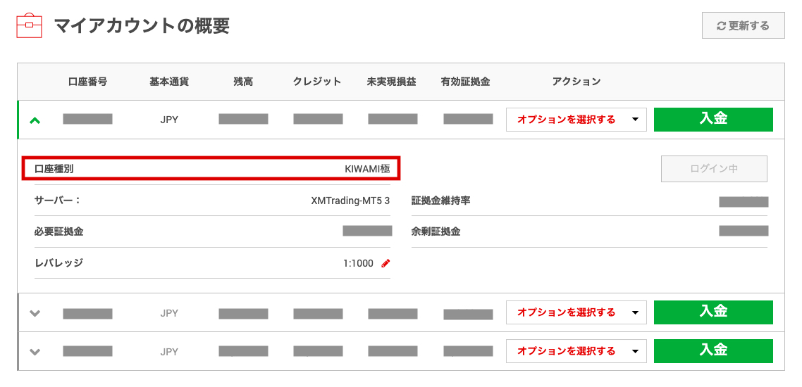 マイアカウント概要のKIWAMI極口座