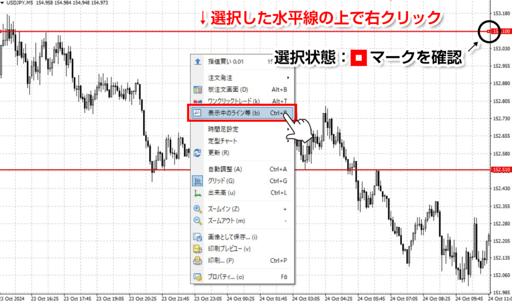 水平線上で右クリックして「表示中のライン等」を選択