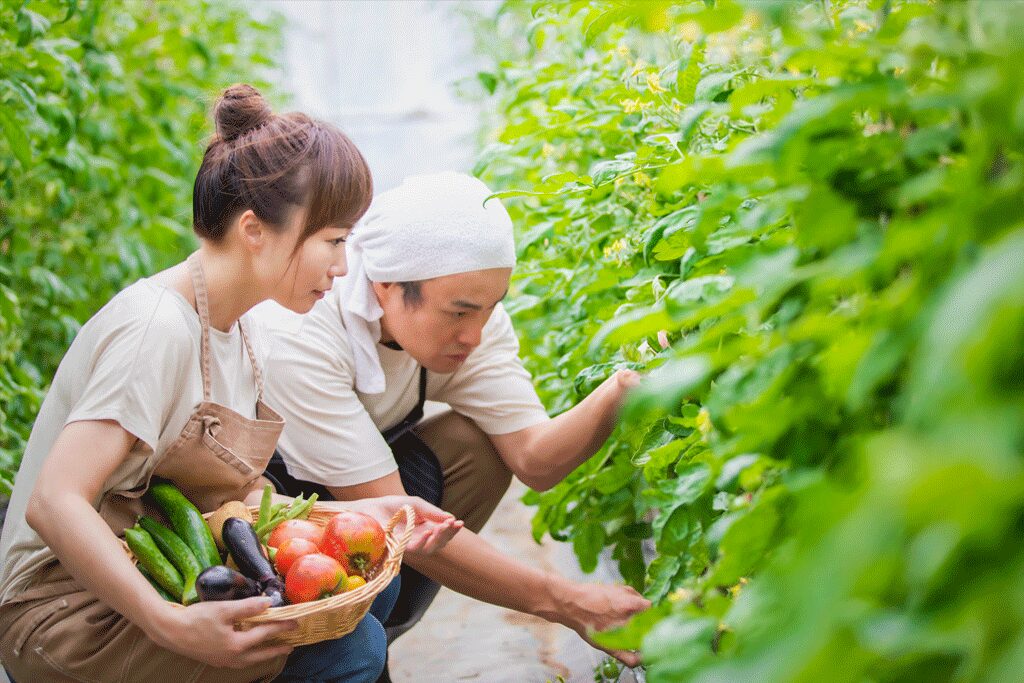 農業と医療という意外な高収入分野