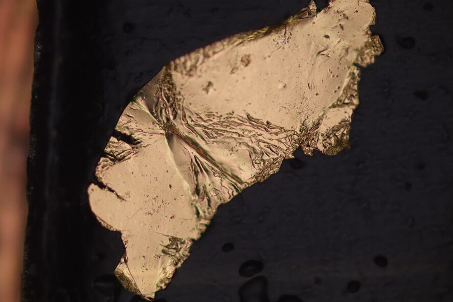 【画像】蒔絵用金粉の顕微鏡写真(成田准教授提供)