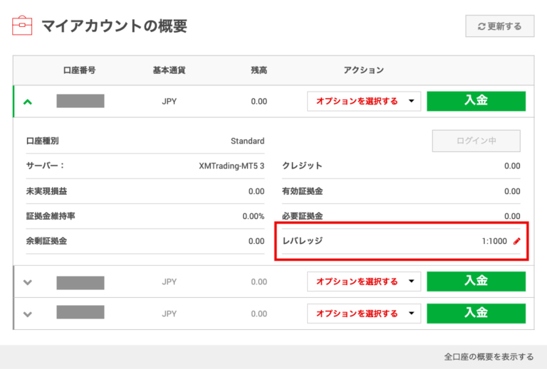 「マイアカウントの概要」のレバレッジ