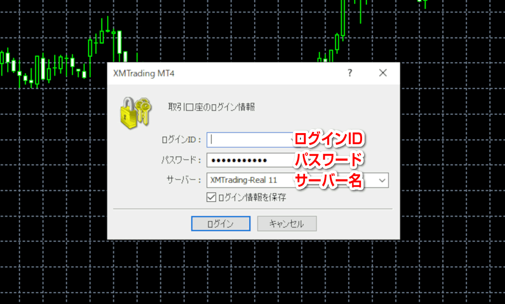 MT4取引口座のログイン情報