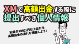 XMの高額出金の仕方&1億円の出金方法